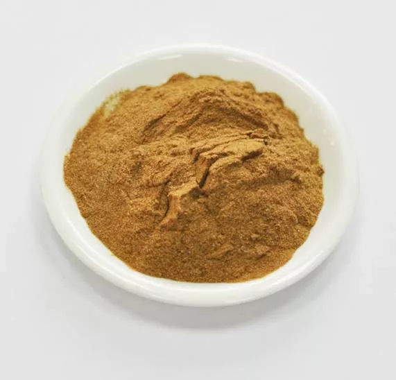 Сухой экстракт золотарника (трава) (лат. Solidago)